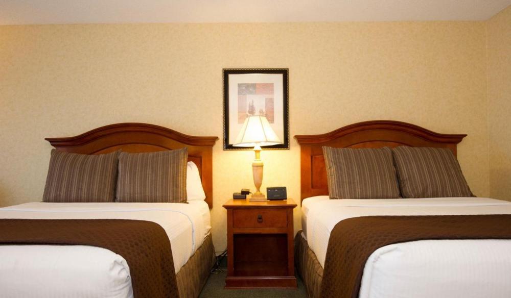Economy Two Queen Room interior